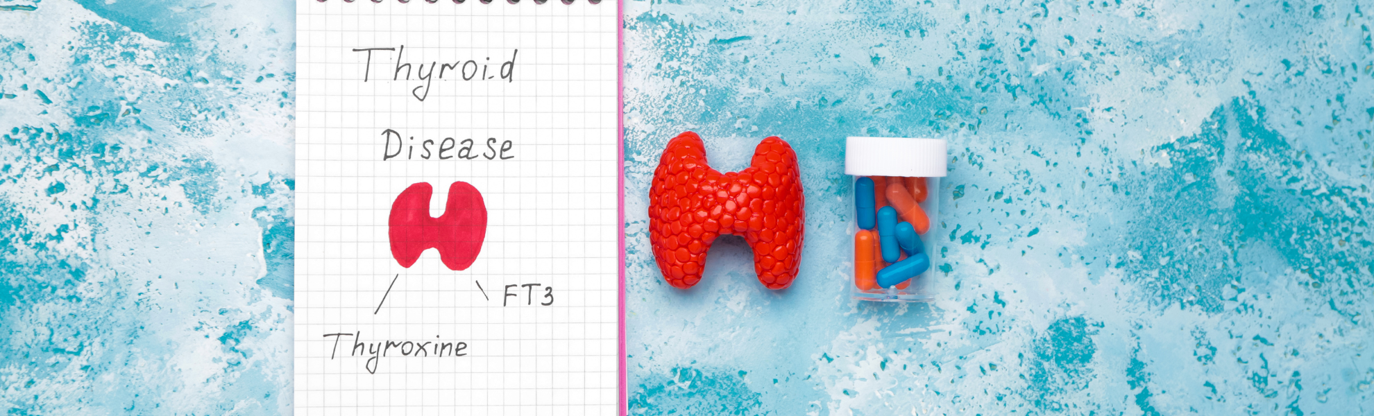 Thyroid Function Tests Thyroid Function Tests