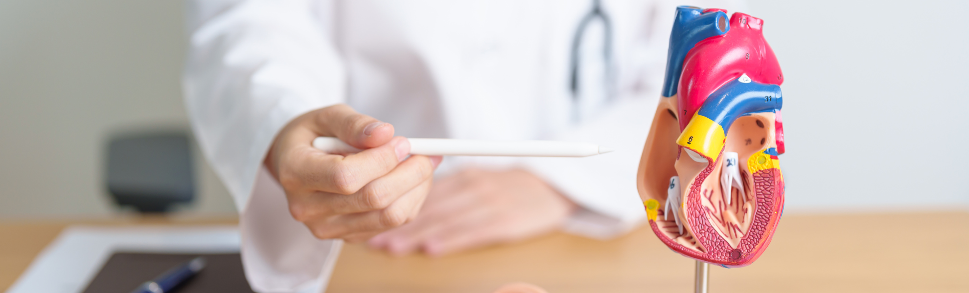 Cardiovascular Tests Image Cardiovascular Tests