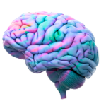 Neuroradiology
