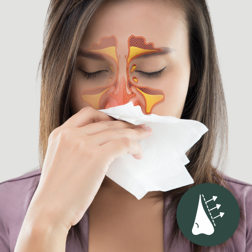Sinus Surgery