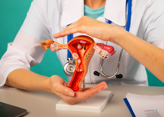 Gynecology Surgery
