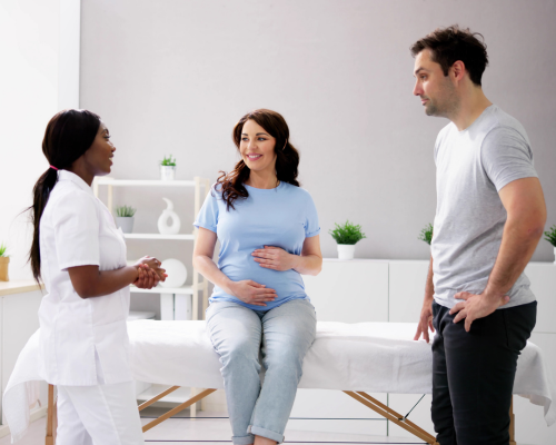 Nizzocare Fertility Services