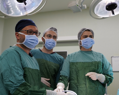 Prostate Surgeries Services