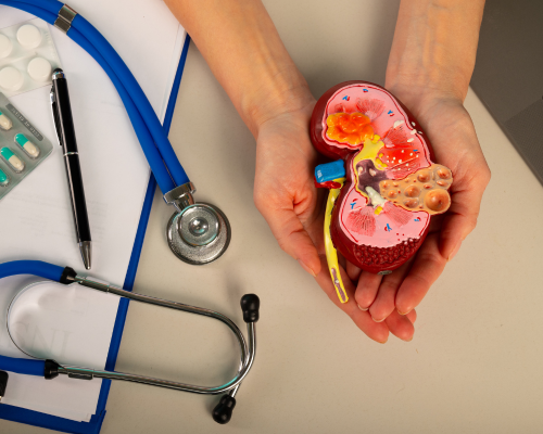 Urological Cancer Surgeries Services