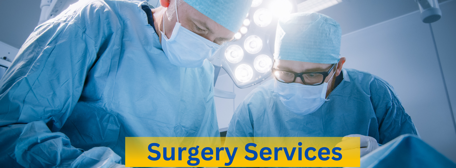Nizzo Surgery Services