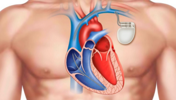 Untitled design - 2025-11-10T145332.954