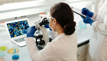 Nizzocare Endoscopy Services